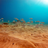 GoPro Red Filter- Hero3+ 